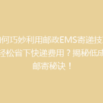 如何巧妙利用邮政EMS寄递技巧，轻松省下快递费用？揭秘低成本邮寄秘诀！
